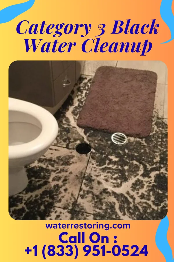 Category 3 Black Water Cleanup in Sykesville, PA