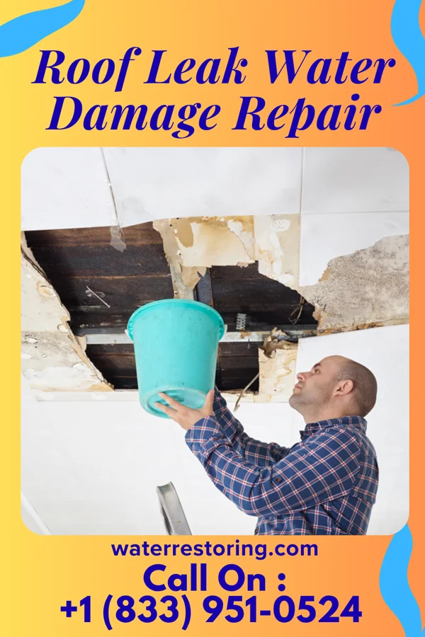 Roof Leak Water Damage Repair in Sykesville, PA