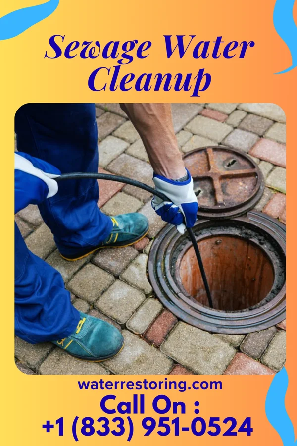 Sewage Water Cleanup in Sykesville, PA
