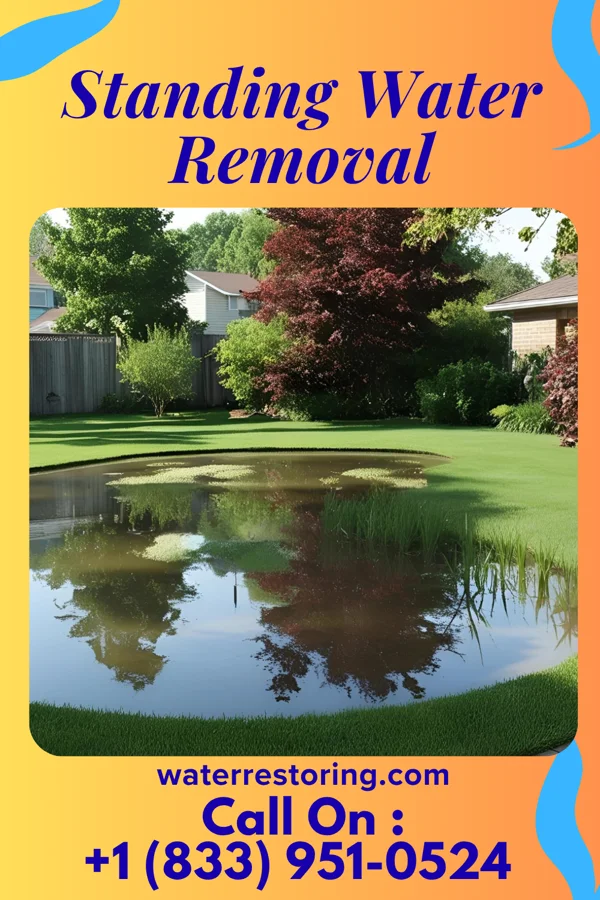 Standing Water Removal in Sykesville, PA